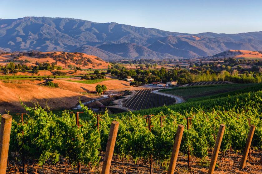Santa-Ynez-video lead