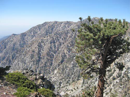 Icehouse Canyon in the San Gabriel Mountains