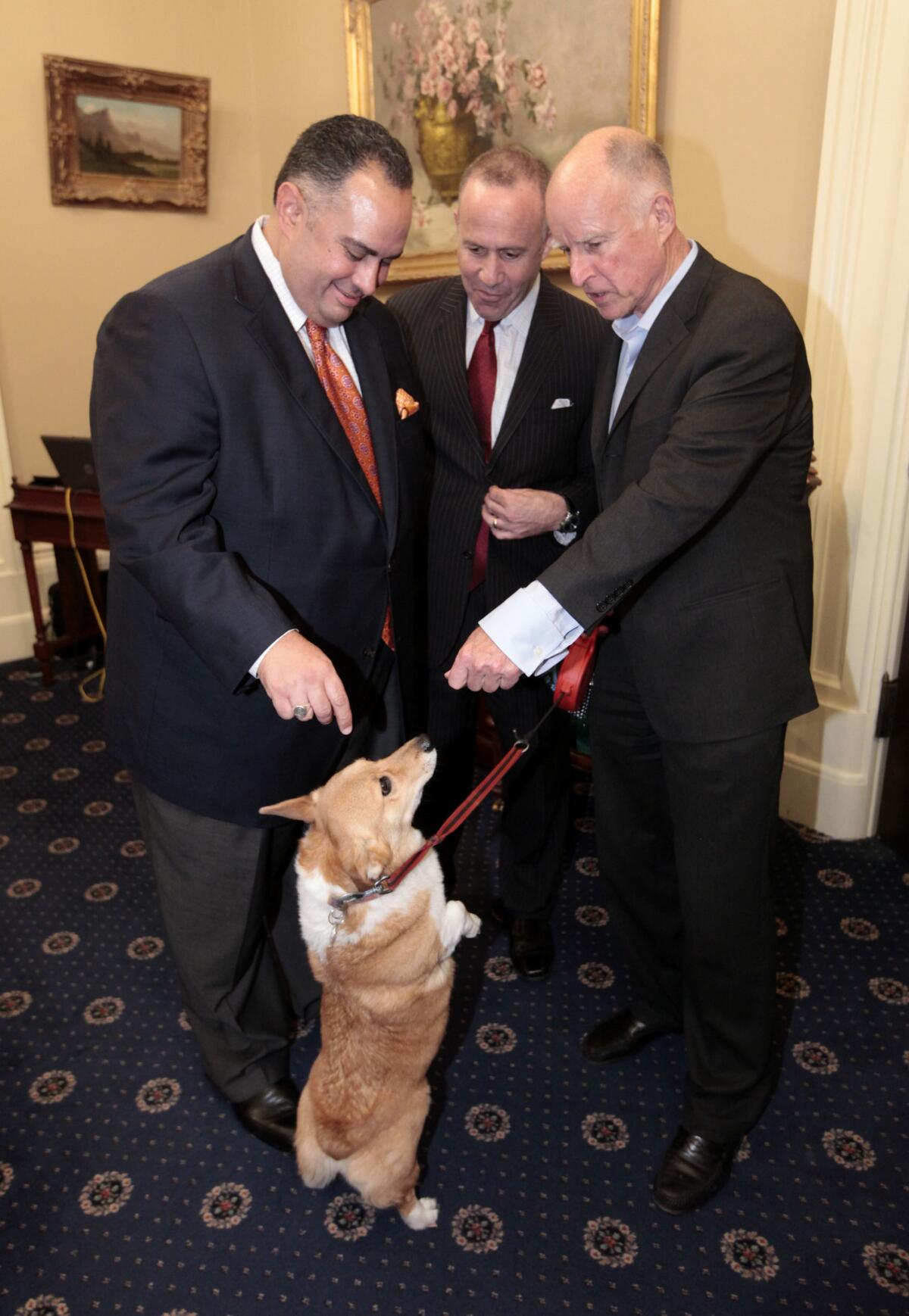 Gov. Jerry Brown, right, shows off Sutter during a 2012 meeting with Assembly Speaker John Perez (D-Los Angeles), left, and Senate President Pro Tem Darrell Steinberg (D-Sacramento). (Rich Predroncelli/Associated Press)