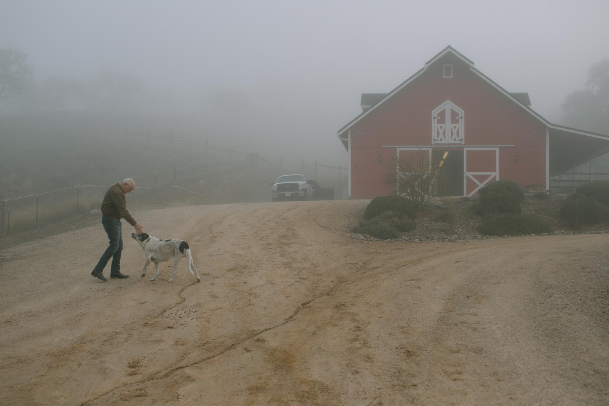 A man reaching for a black-and-white dog on a dirt road leading to a red barn