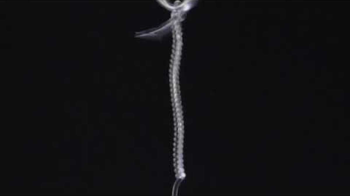 Watch: Scientists make super-strong artificial muscle from fishing line -  Los Angeles Times