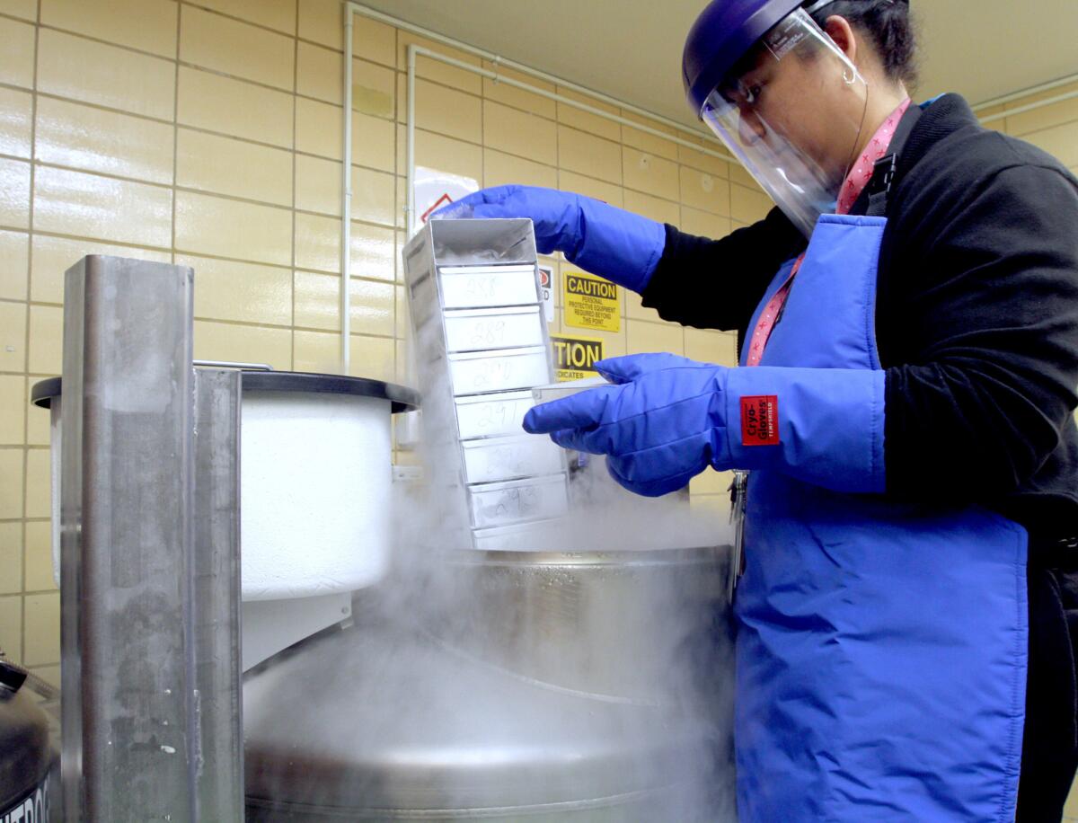 Providence St. Joseph Medical Center clinical research associate Vanessa Vasco shows how bio-specimen samples will be stored in a new liquid nitrogen bio repository freezer at the hospital in Burbank on Friday, May 6, 2016. The freezer can hold about 40,000 samples, primarily for cancer research.