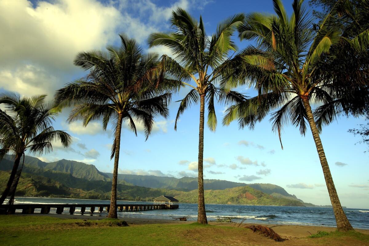 Palm trees frame the pier and surrounding beauty of half-moon-shaped Hanalei Bay. With nearly two miles of pristine beach, the bay on Kauai's North Shore is a popular tropical getaway.