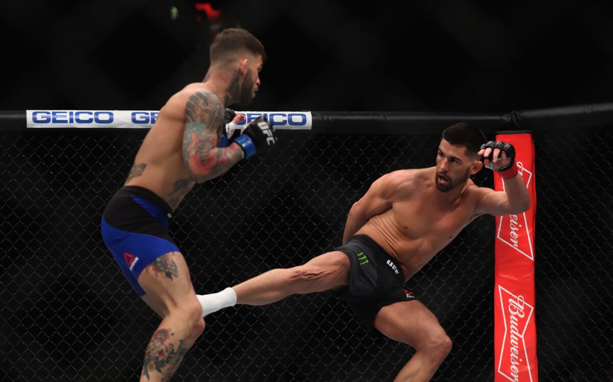 Dominick Cruz kicks Cody Garbrand during their UFC bantamweight title fight at UFC 207.