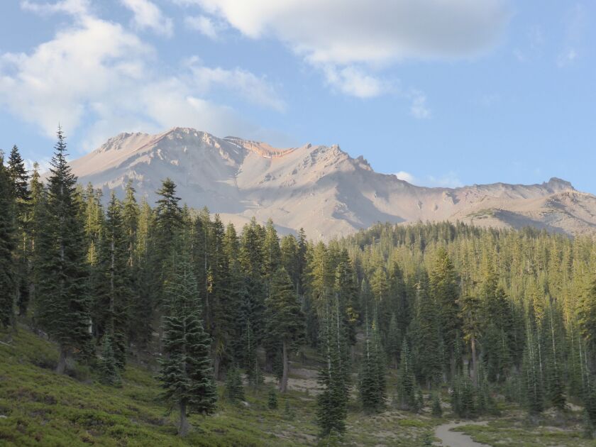 Brown peaks rise behind green pine trees.