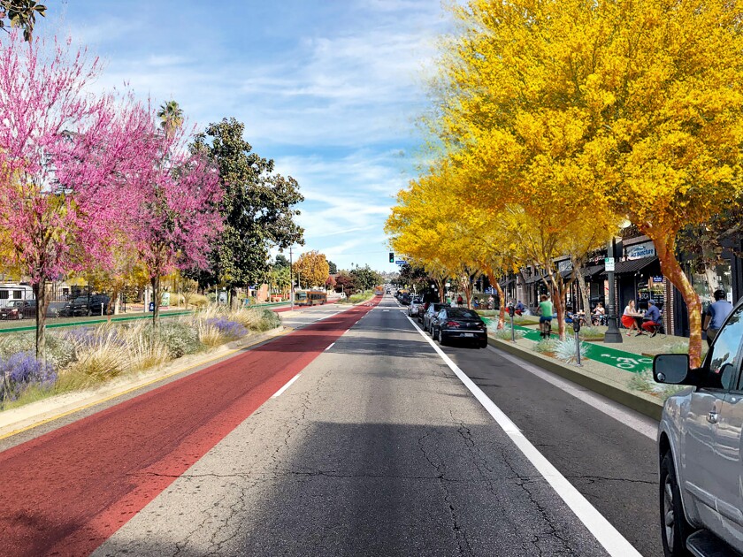 Trees in pink and gold border a two-lane road, half of which is painted red.