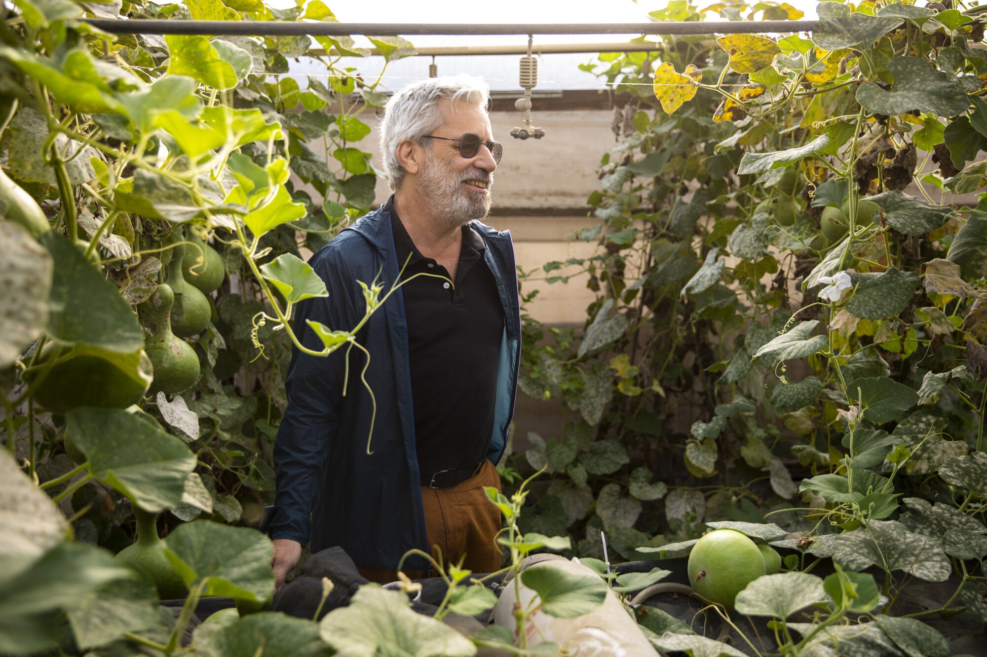A man in a greenhouse surrounded by gourds and other plants.