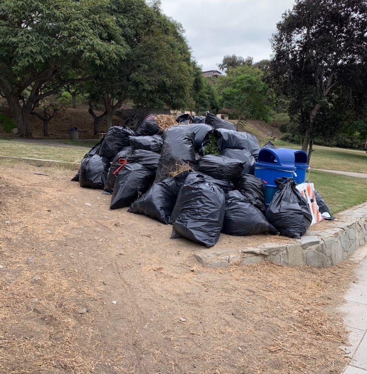 An Oct. 24 cleanup of the La Jolla Bike Path and Starkey and Via del Norte parks drew about 90 volunteers.