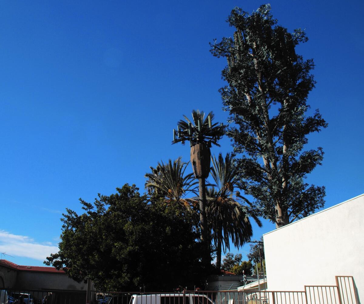 The quarter-acre lot occupied by Pals Vacuum Sewing Center at 2299 Harbor Blvd. in Costa Mesa includes cellphone towers that look like trees.