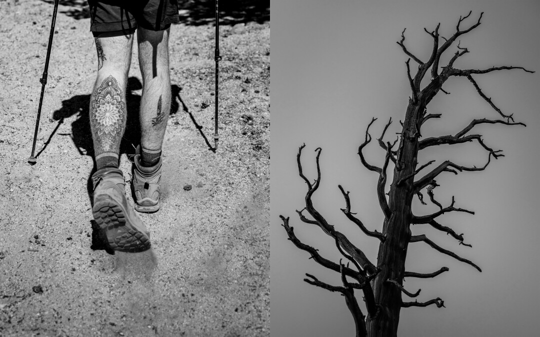 A hiker drags his foot, left. A barren tree against the sky.