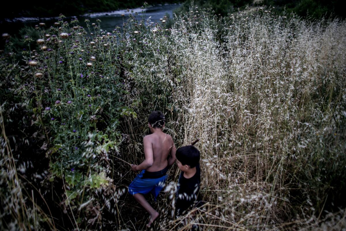 Boys search for a lost tossel in the bushes during a traditional stick game practice.