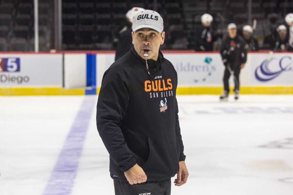 Joel Bouchard is out after one season as coach of the Gulls.