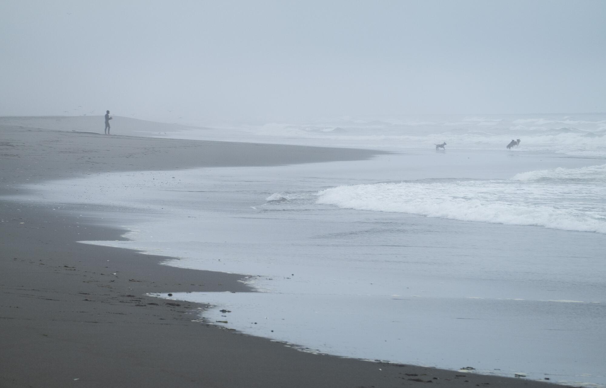 The Samoa Peninsula in Eureka