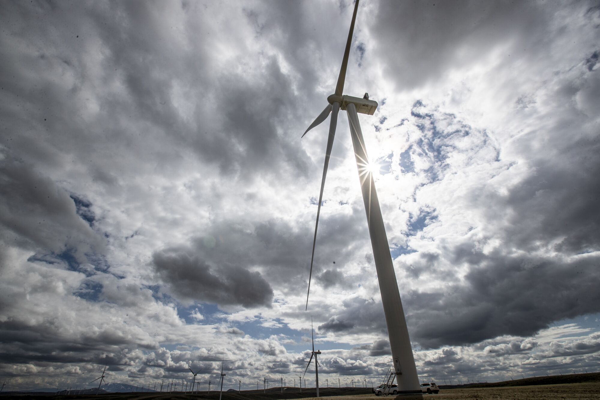 Hundreds of turbines produce power at PacificCorp's Ekola Flats wind farm.