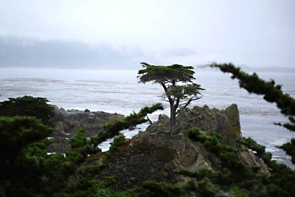 17-Mile Drive