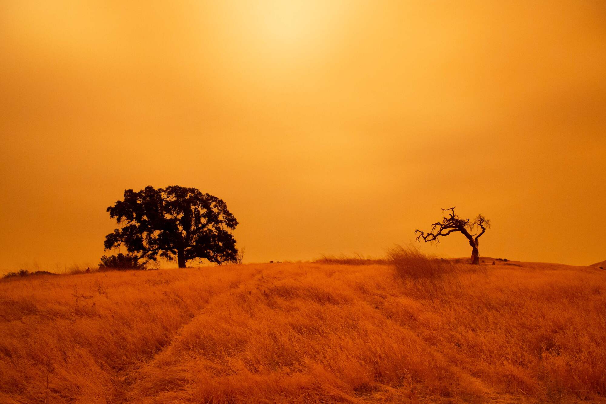 An orange sky
