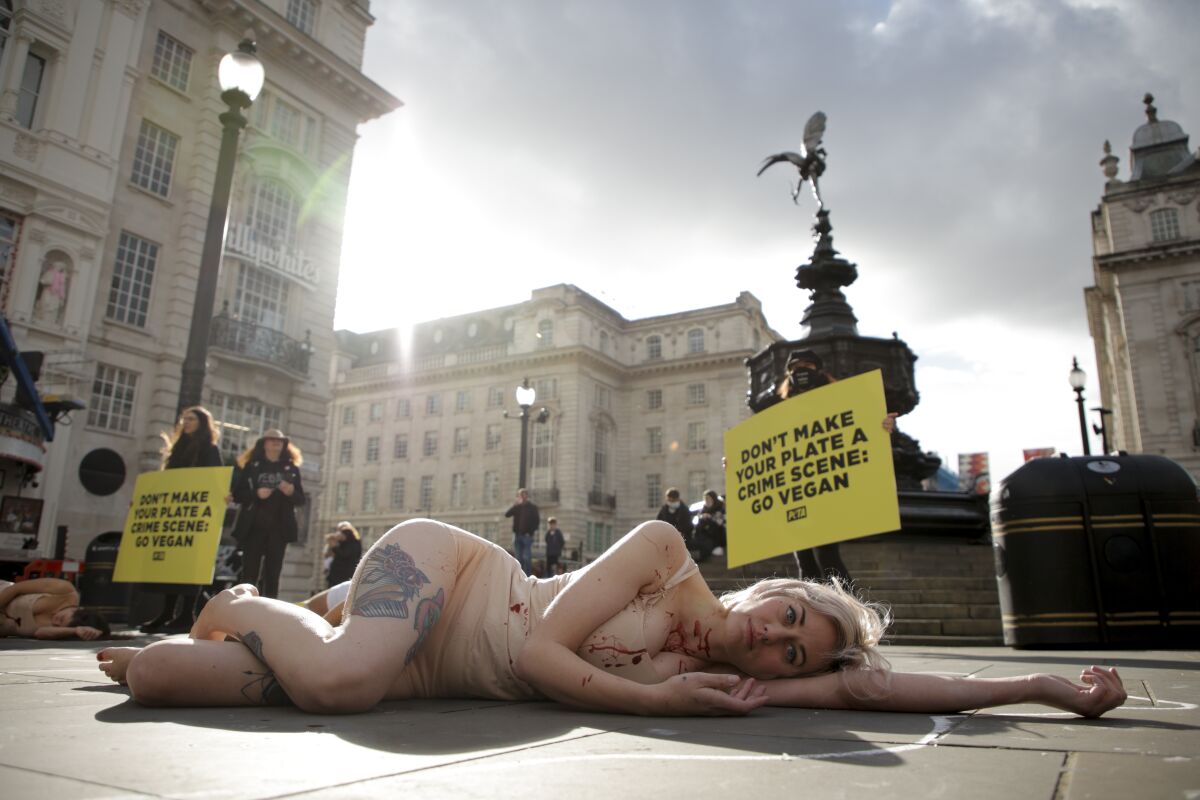 Animal rights activists from People for the Ethical Treatment of Animals (PETA) stage a 'die-in' to mark World Vegan Day in Piccadilly Circus in London, Monday, Nov. 1, 2021. The demonstration sought to draw attention to the suffering and death of animals in the meat, egg and dairy industries. (AP Photo/David Cliff)