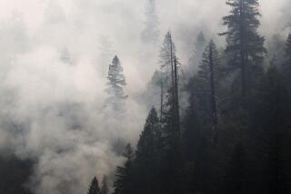 YREKA, CALIF. - AUG. 2 , 2022. The McKinney fire does a slow burn in the Klamath Forest near Yreka on Tuesday, Aug. 2, 2022. The fire in Northern California has charred more than 51,000 acres and killed four people. (Luis Sinco / Los Angeles Times)