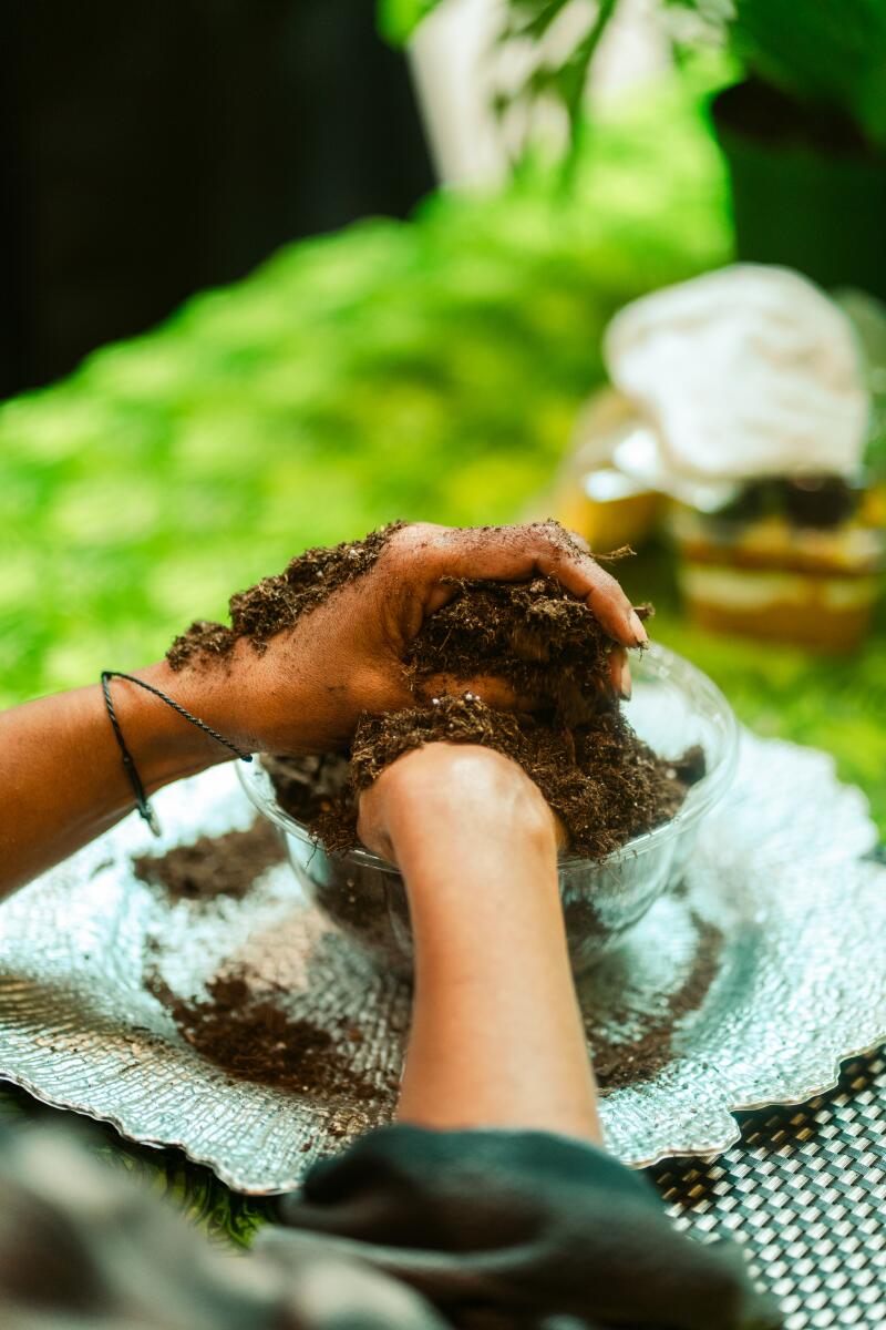 Workshop participants massage their hands in soil to experience the healing benefits of it.