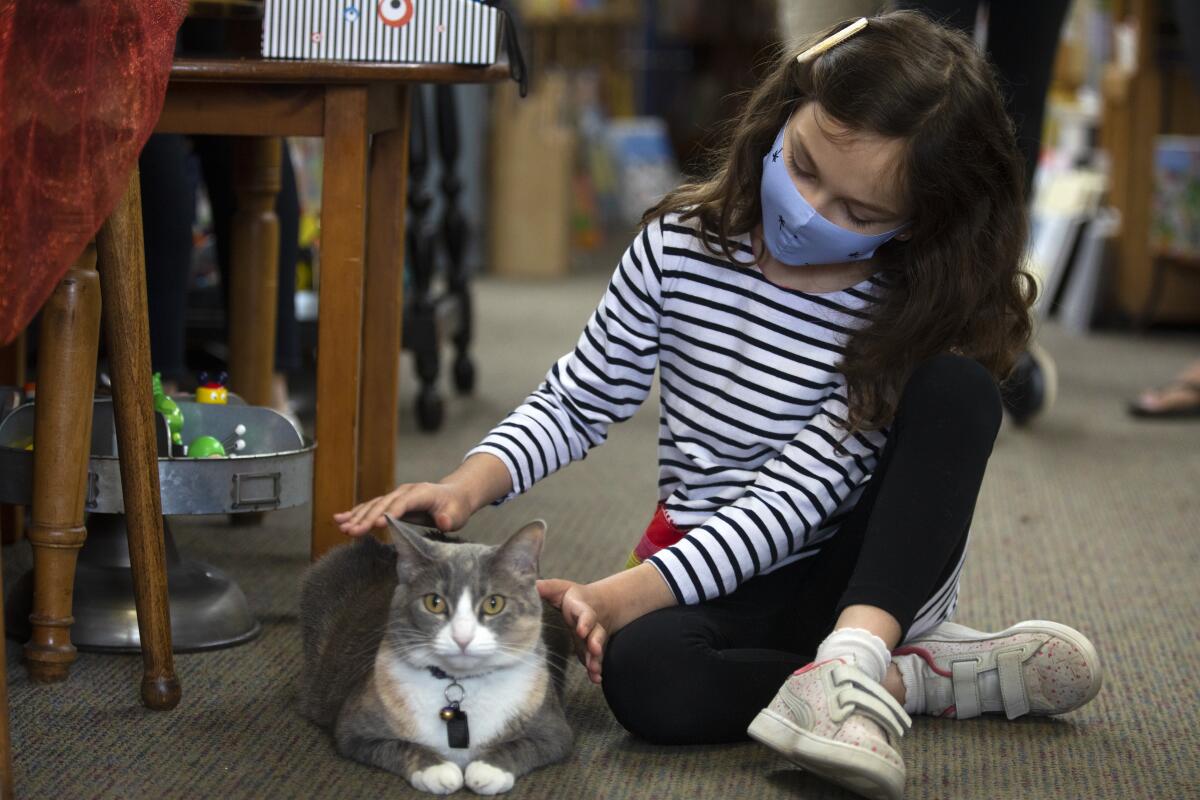 A girl pets a cat at Once Upon a Time bookstore.