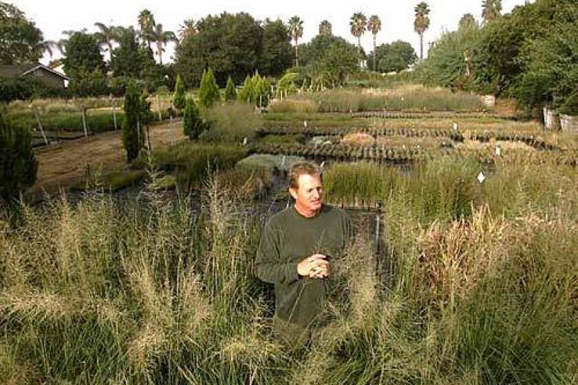 John Greenlee led a grasses revolution, a movement to turn manicured lawns into untamed meadows. His new goal: Go mass market.