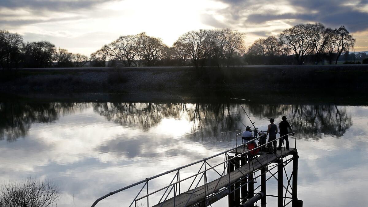 The Sacramento River in the San Joaquin-Sacramento River Delta, near Courtland, Calif.