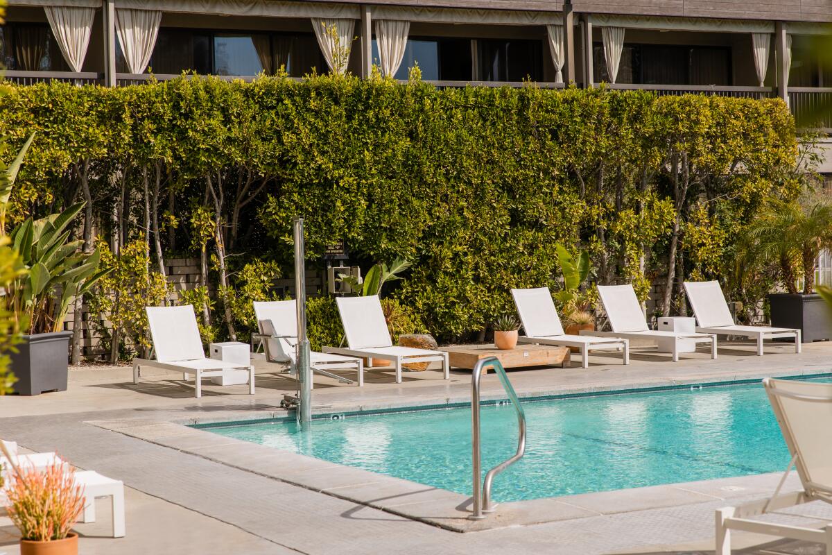 Lounge chairs lined up against a tall hedge next to a swimming pool