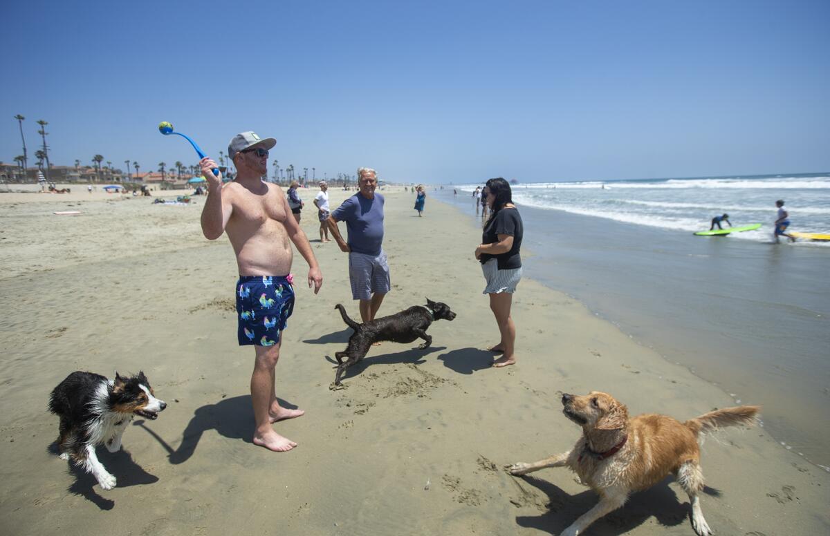 Brett Shafer, left, from Sacramento throws a ball for his dog chocolate Lab, Bernadette, center.