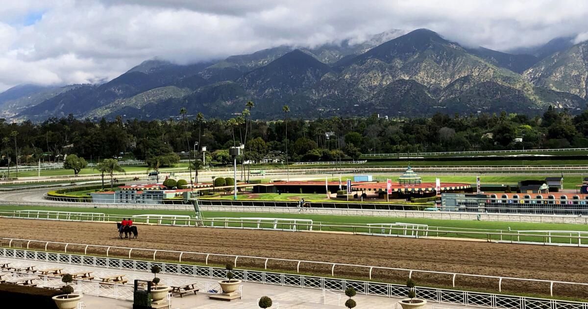 Santa Anita opening day again delayed, but there are plenty of storylines to follow Santa Anita opening day again delayed, but there are plenty of storylines to follow