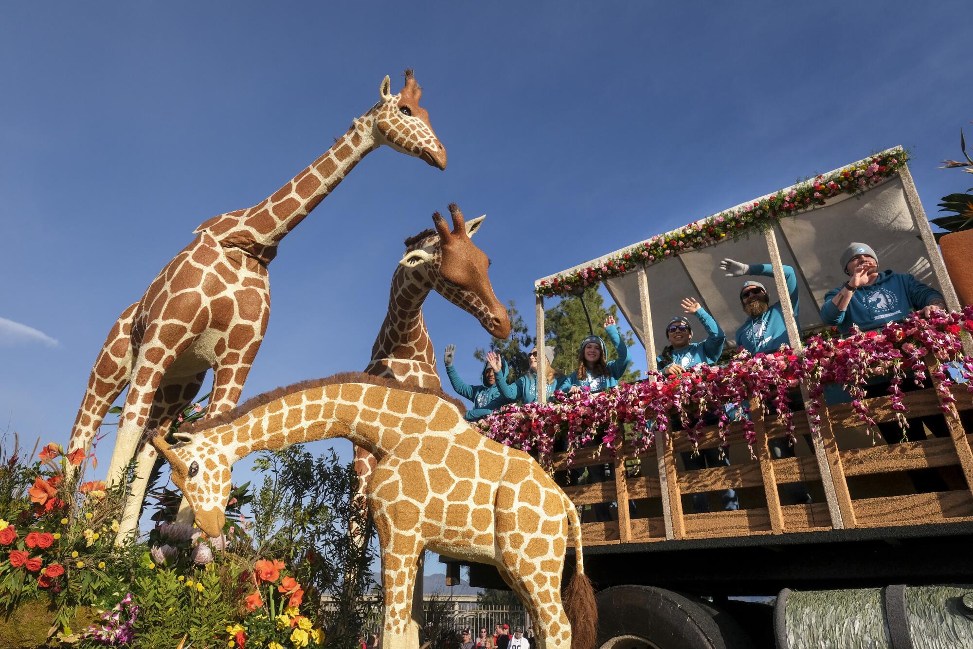 A Rose Parade float with giraffes.