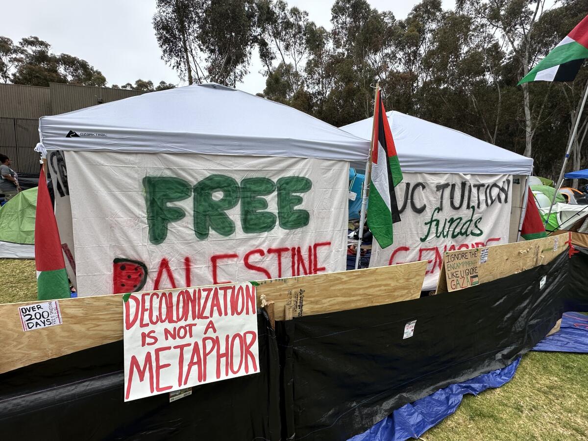亲巴勒斯坦的学生在加州大学圣地亚哥分校建造了一个帐篷城，以抗议加沙战争。 