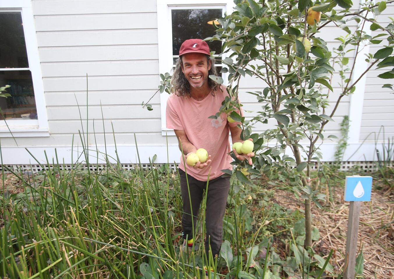 Executive director Evan Marks happily picks apples on one of the learning landscapes at The Ecology Center which celebrates its 10th anniversary in San Juan Capistrano.