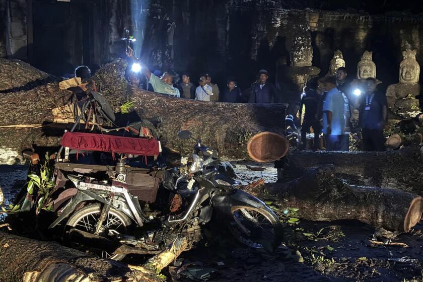 Scene of accident at a entrance to the Angkor Thom temple in the Angkor archaeological site in Siem Reap, Cambodia, Tuesday, July 23, 2024. A tree fell in a storm on a tuk-tuk, killing its driver and injuring three passengers. Some statues on the balustrade were also damaged. (Thmey Thmey Online News via AP)
