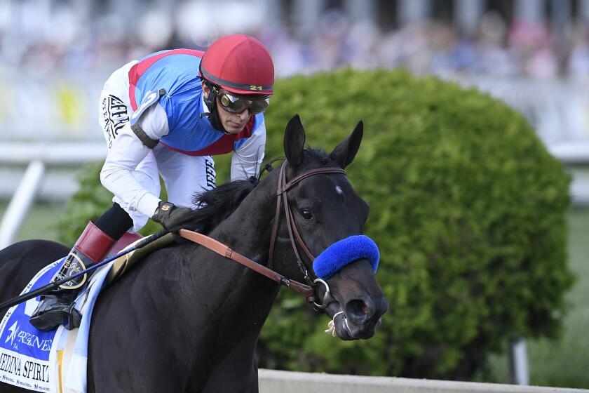 John Velazquez atop Medina Spirit competes in the 146th Preakness Stakes horse race at Pimlico Race Course, Saturday, May 15, 2021, in Baltimore. (AP Photo/Nick Wass)