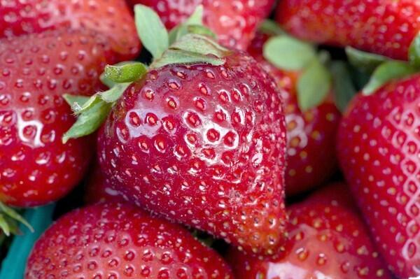 Galante strawberries