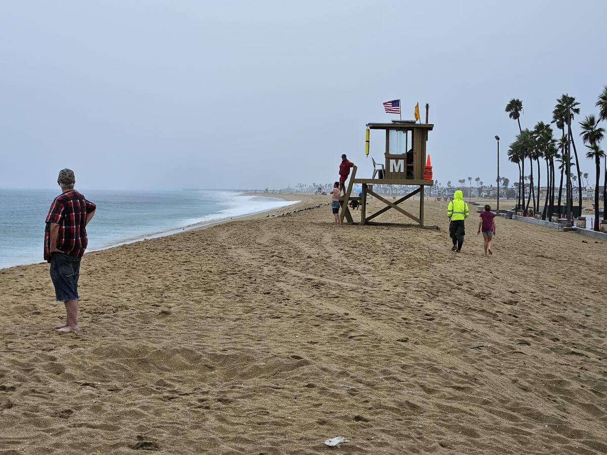 Beachgoers survey the waters out at Balboa Pier on Sunday.