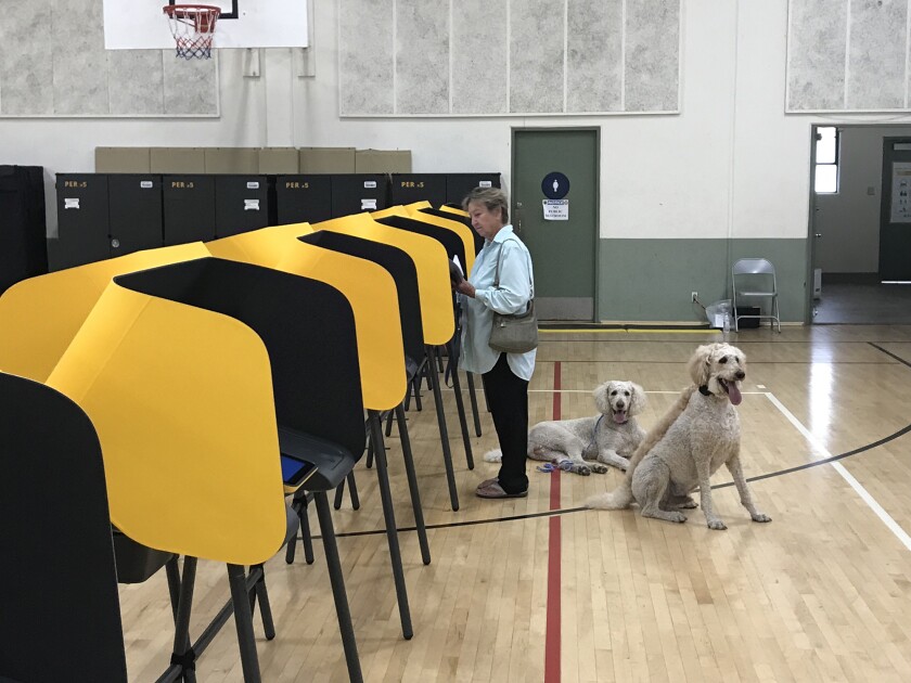 A woman stands at a voting booth along with two dogs.