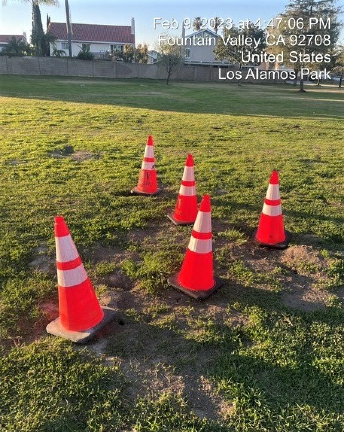 A photo taken by Fountain Valley's Public Works Department shows cones placed near gopher tunnels at Los Alamos Park.
