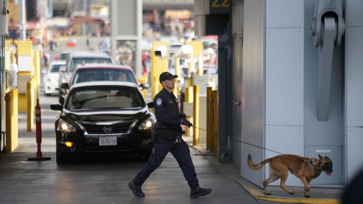 A courier crossing at the San Ysidro Port of Entry who prosecutors say delivered drugs to a U.S. postal annex pleaded guilty to importing drugs and was sentenced to 10 months in prison.