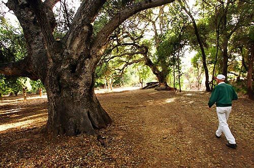 21 Nature Books To Read During The Coronavirus Pandemic Los
