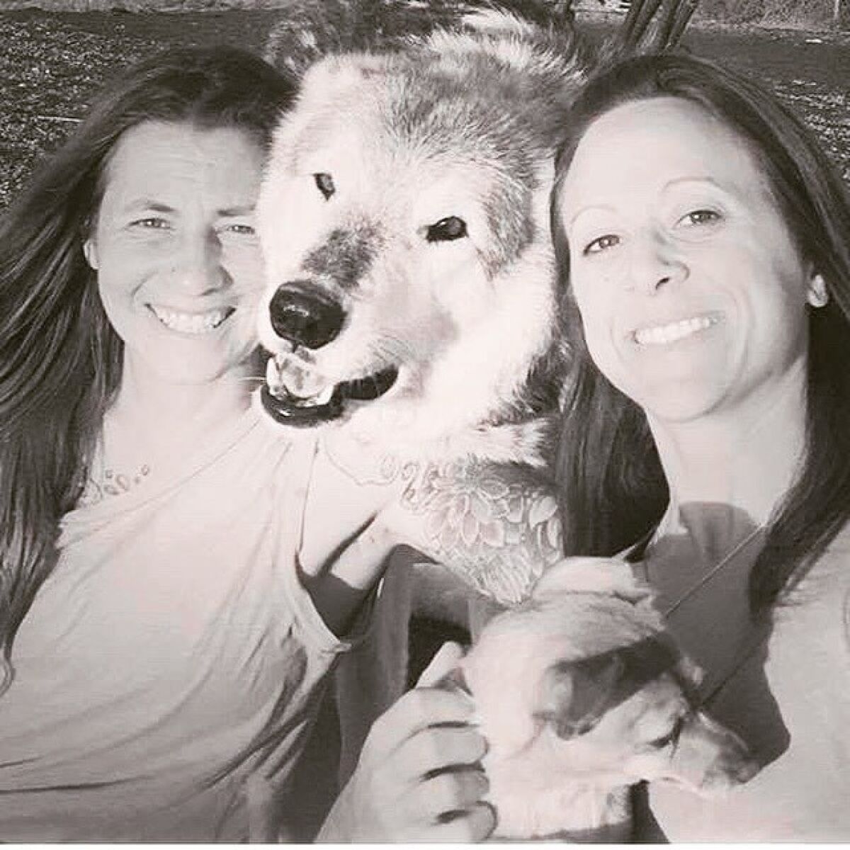 Lauren Freiser, left, and Lori DeProspo, with their wolf-malamute hybrid, Wolfie, at the King Wolf Animal Sanctuary in Ramona, Calif.