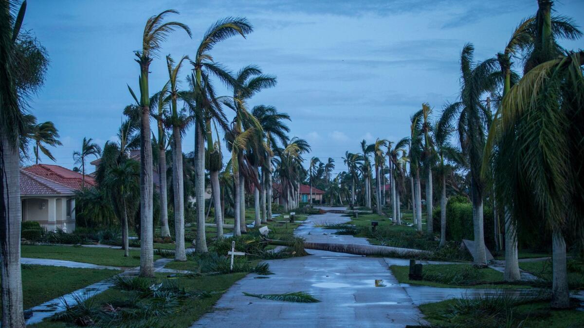 Debris litters the street following Hurricane Irma at Marco Island, Fla., on Sept. 11.