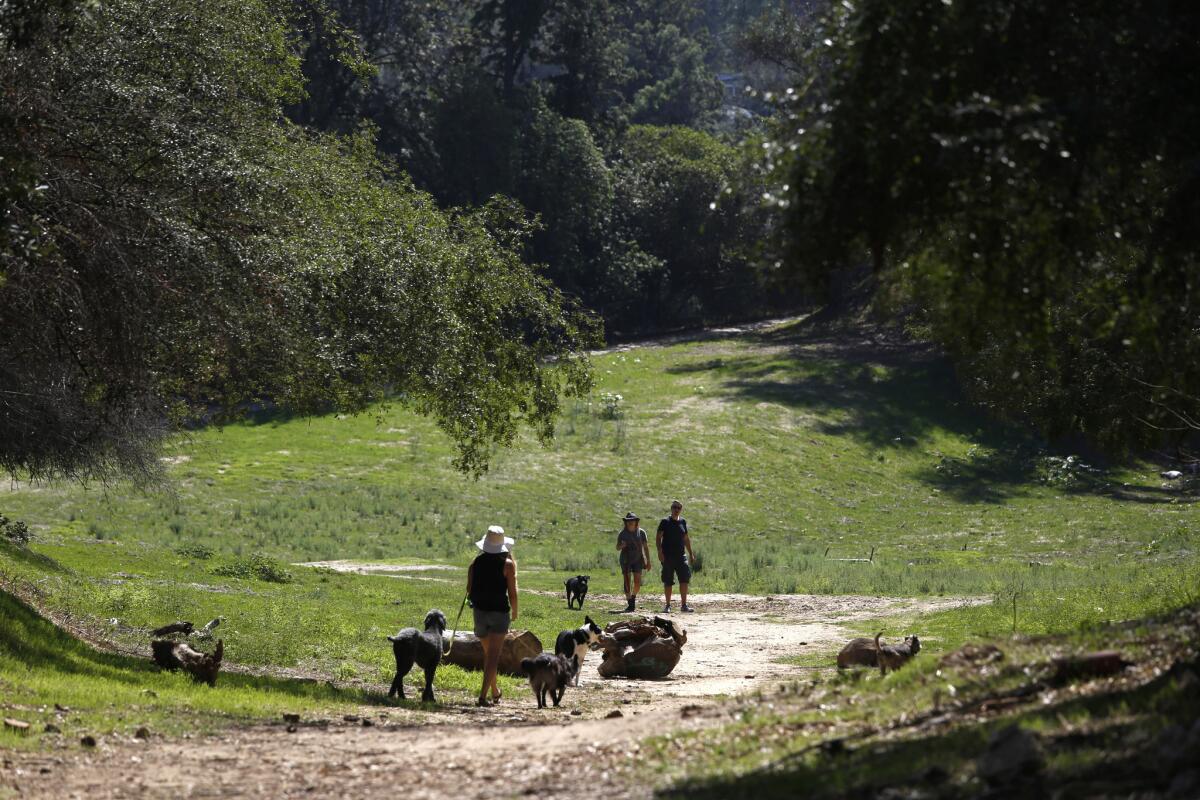 People walking dogs at the wide dirt path that swings into an open field. This two-mile walk is mere blocks from the busy streets and freeways dividing Silver Lake from Echo Park and Atwater Village.