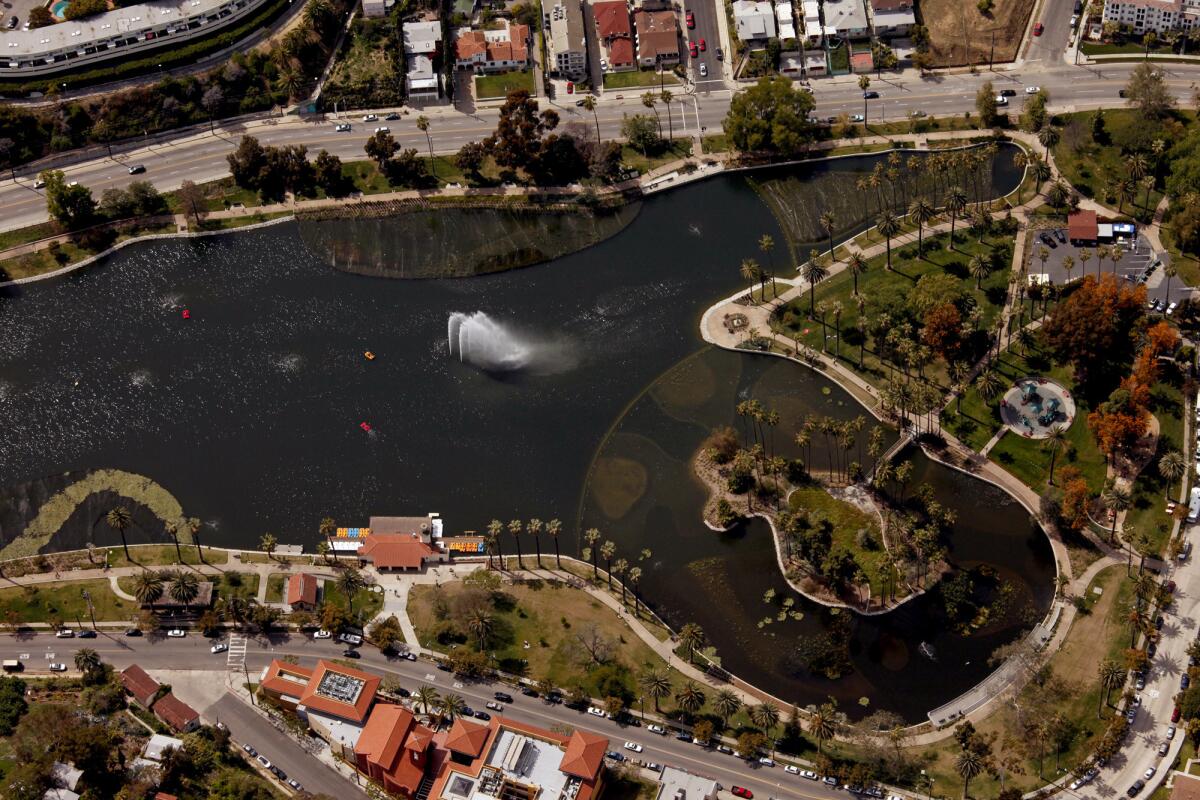 Aerial view of the north end of Echo Park Lake early this month.