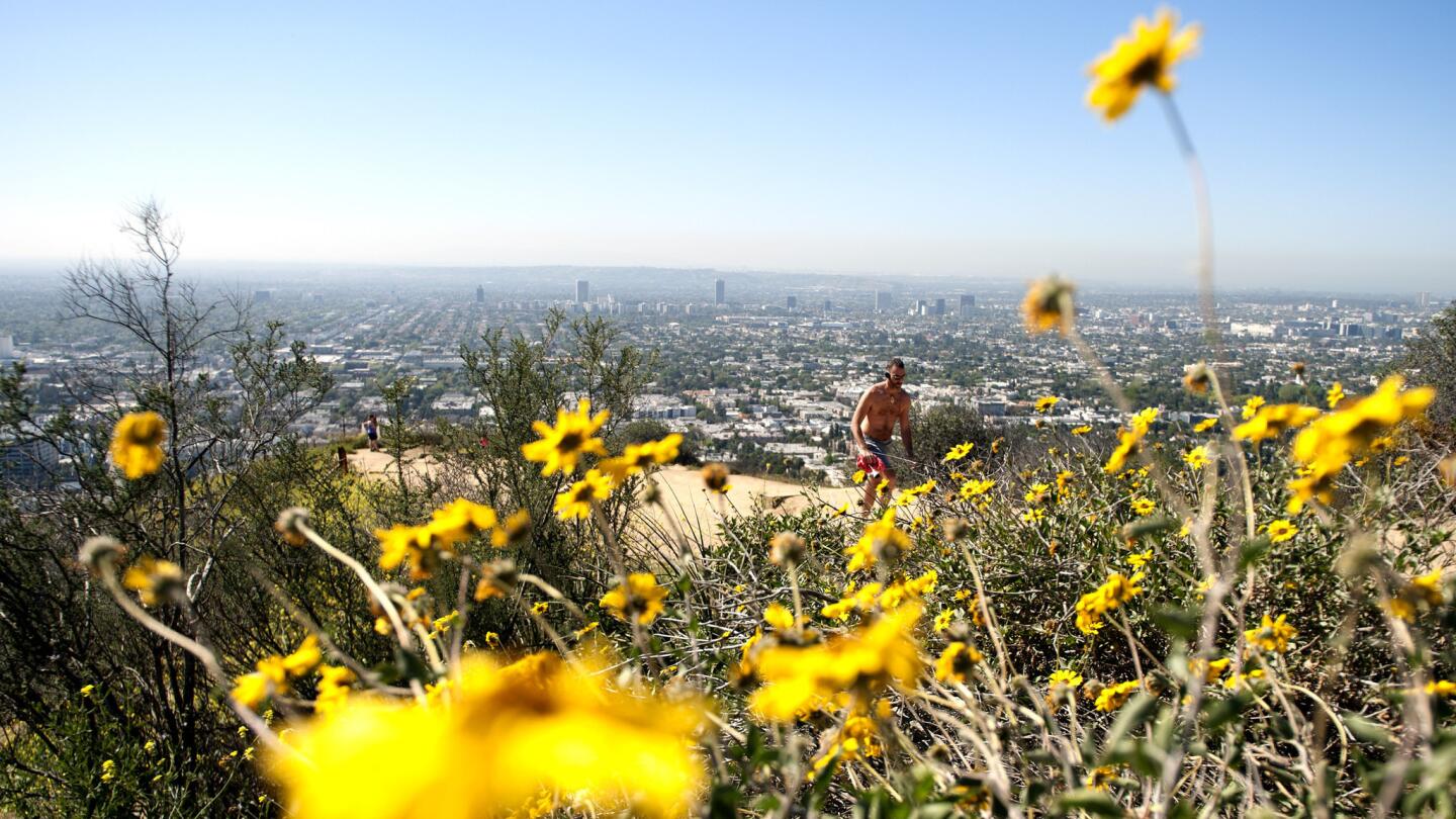 Hikers enjoy the last day at Runyon Canyon Park before the trail closure begins on April 1, 2016. The closure will last four months while the city replaces the aging 6-inch water main.