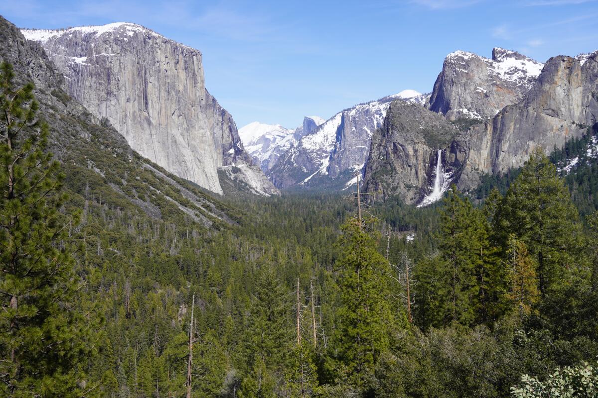A picture-perfect view of Yosemite Valley.