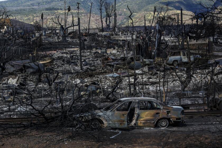 Lahaina, Maui, Monday, August 14, 2023 - A view of destruction from Hwy 30 days after a fierce wildfire destroyed the town. (Robert Gauthier/Los Angeles Times)