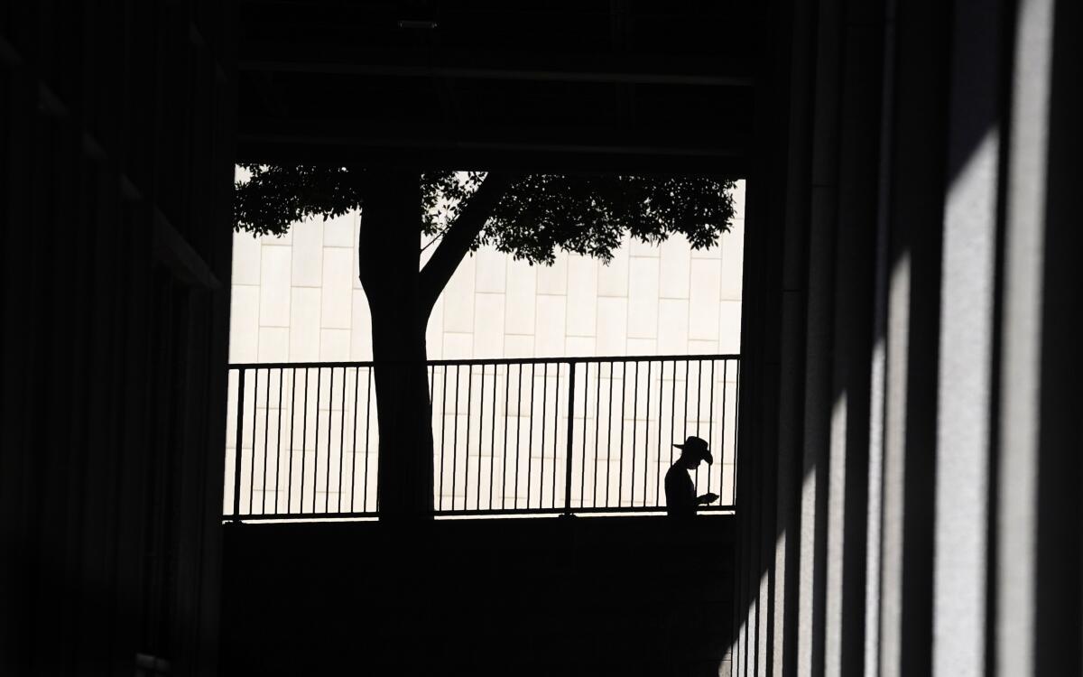 A person is silhouetted next to a tree alongside railing in a concrete building
