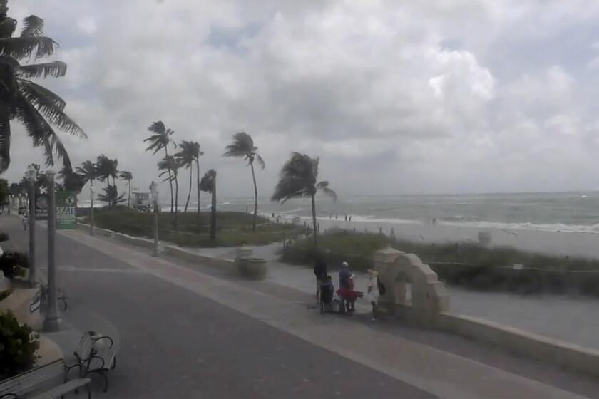 People walk along a windy Hollywood Beach as Tropical Storm Debby moves through the Gulf of Mexico toward Florida on Sunday, Aug. 4, 2024 in Hollywood, Fla. (WPLG via AP)