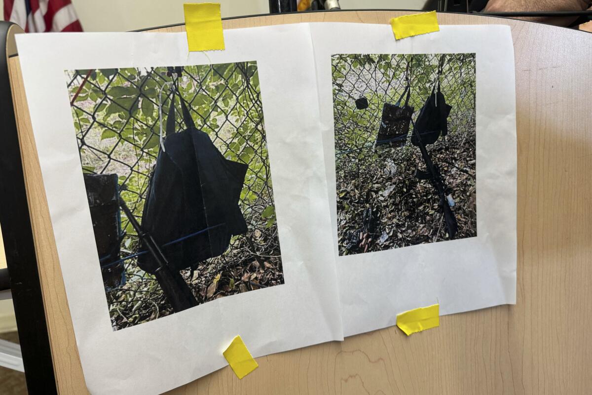 Photos taped to a display board that show dark objects hanging on a chain link fence 